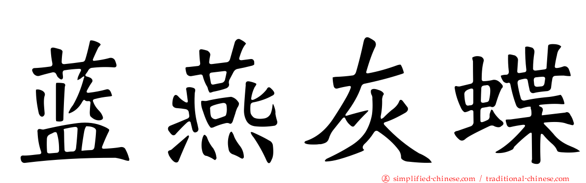 蓝燕灰蝶