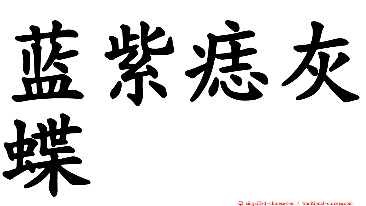 蓝紫痣灰蝶