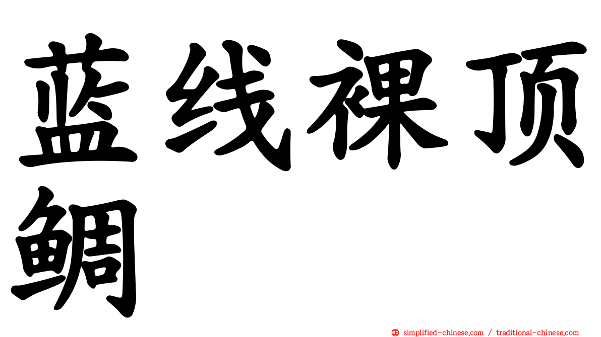 蓝线裸顶鲷