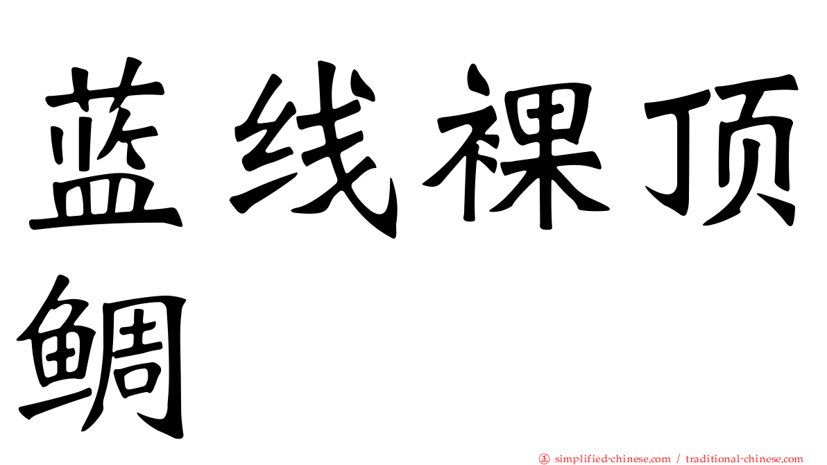 蓝线裸顶鲷