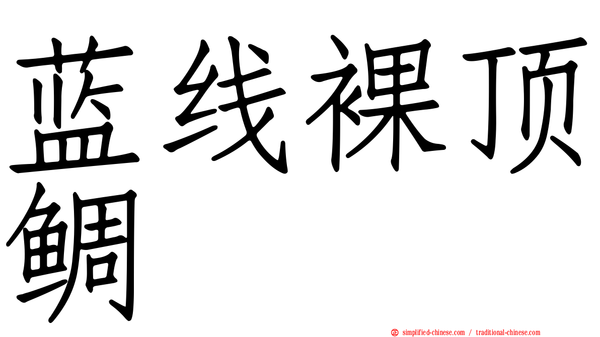 蓝线裸顶鲷