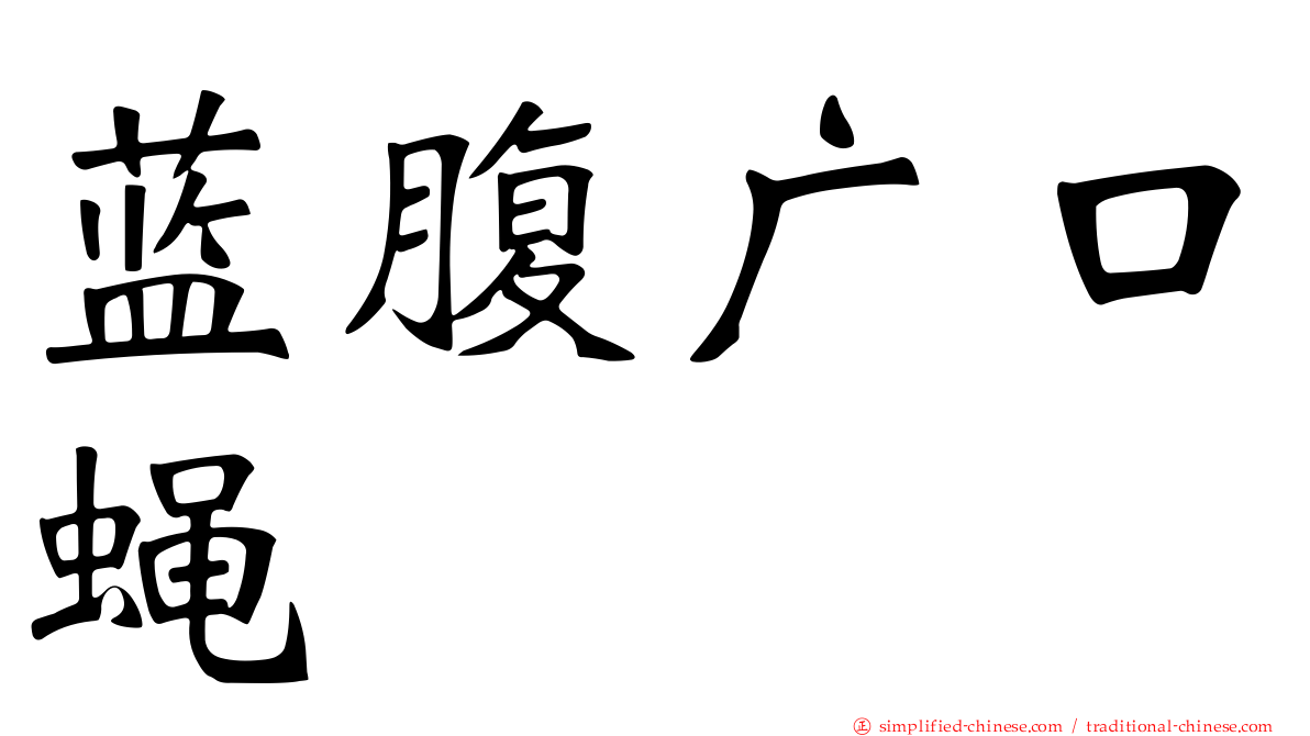 蓝腹广口蝇