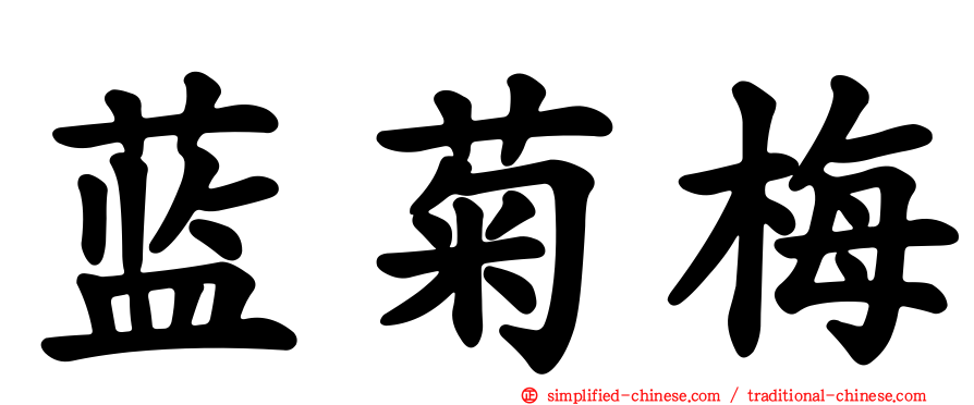 蓝菊梅