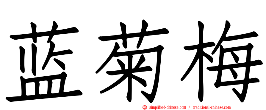蓝菊梅