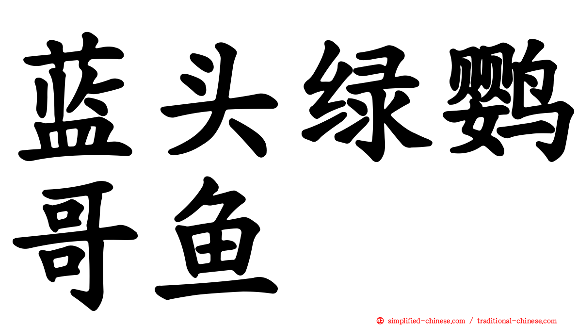 蓝头绿鹦哥鱼
