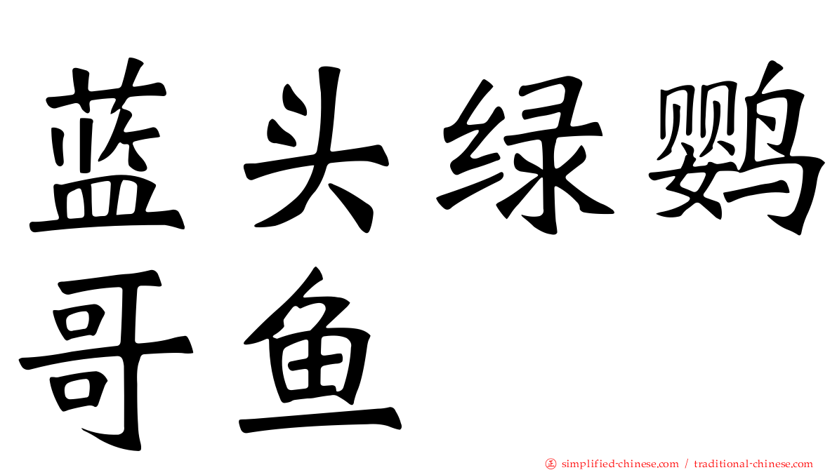 蓝头绿鹦哥鱼