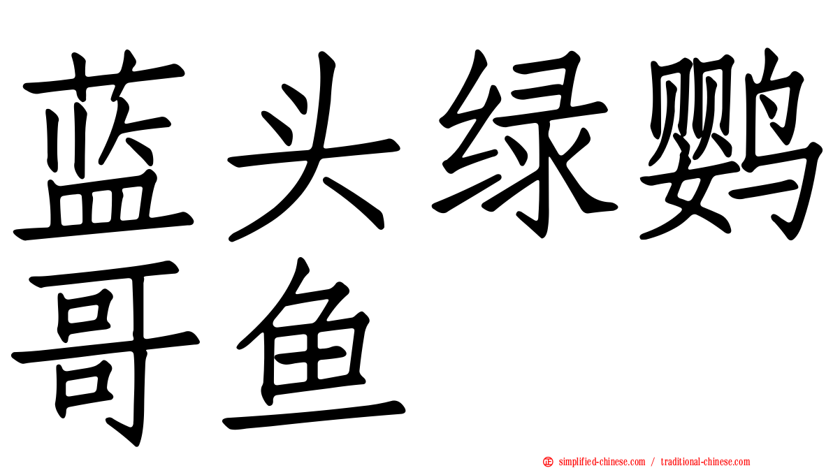 蓝头绿鹦哥鱼