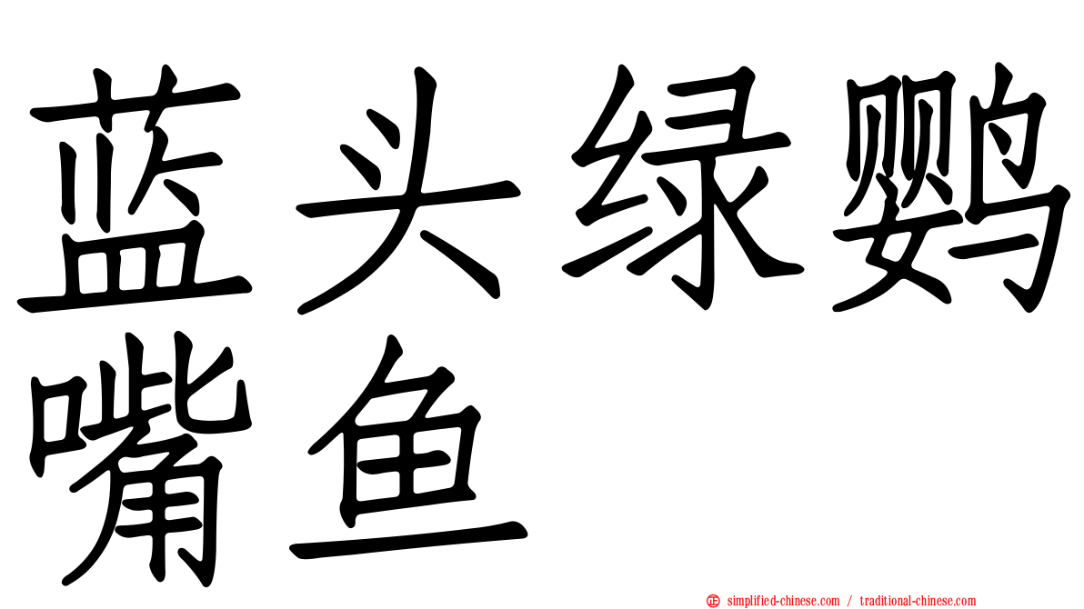 蓝头绿鹦嘴鱼