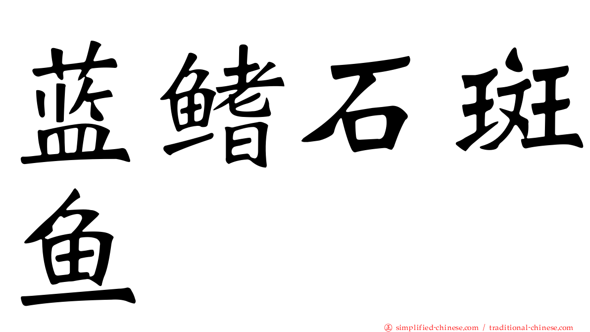 蓝鳍石斑鱼