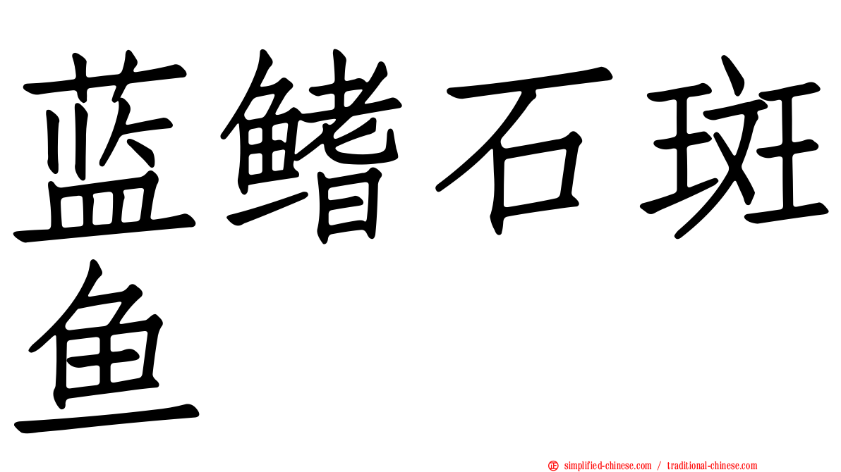 蓝鳍石斑鱼
