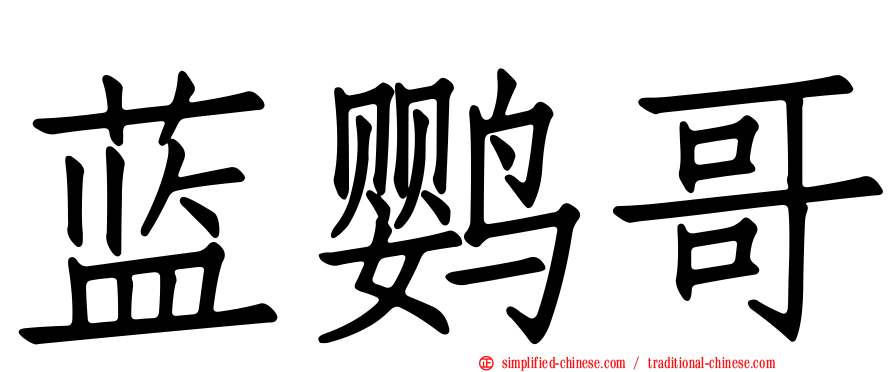 蓝鹦哥