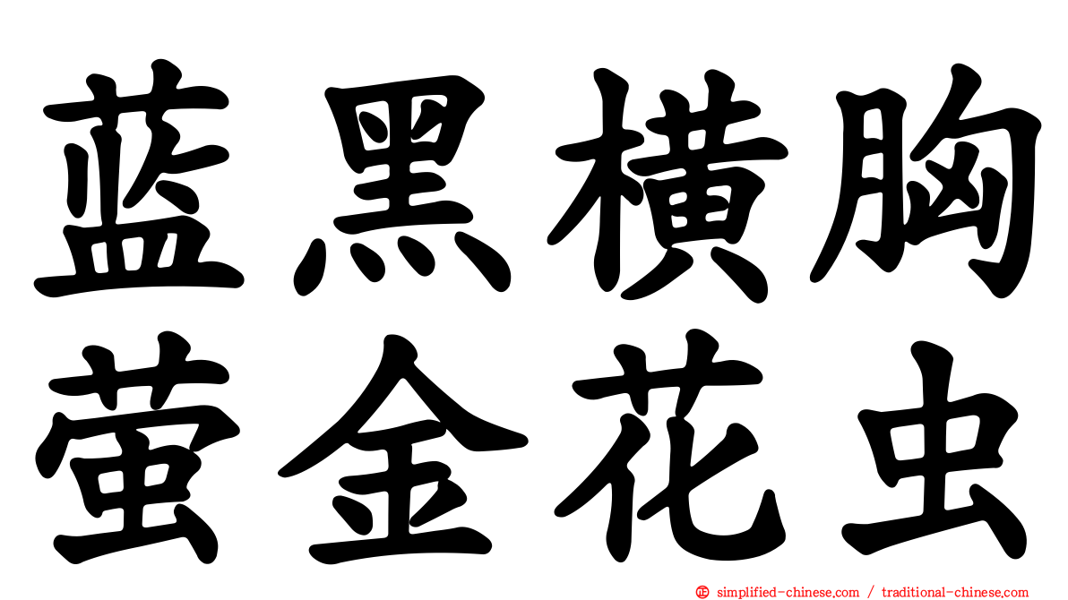 蓝黑横胸萤金花虫