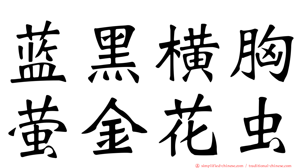 蓝黑横胸萤金花虫