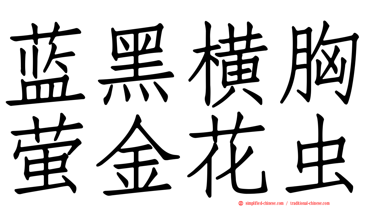 蓝黑横胸萤金花虫
