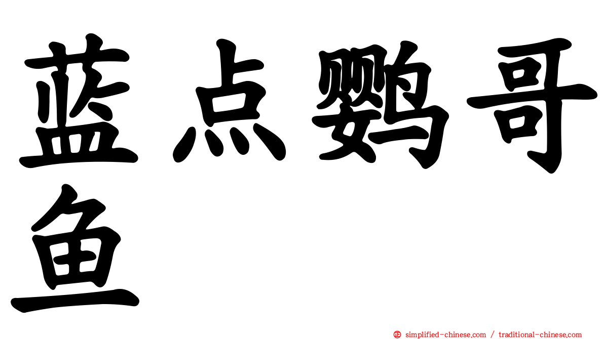 蓝点鹦哥鱼