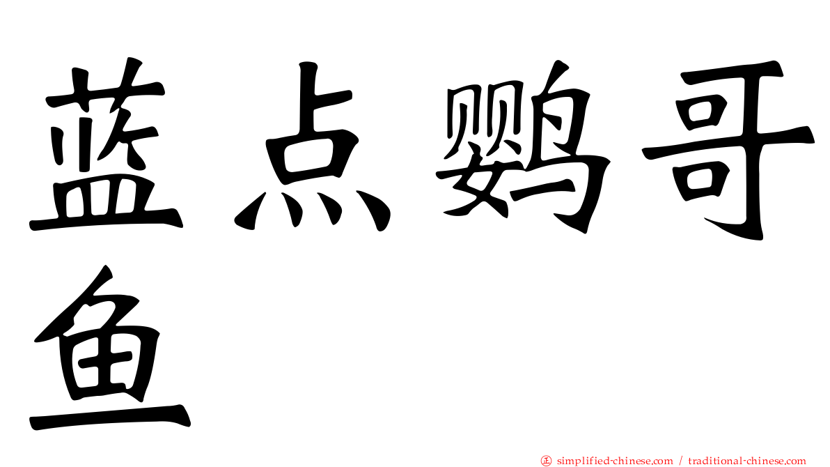 蓝点鹦哥鱼