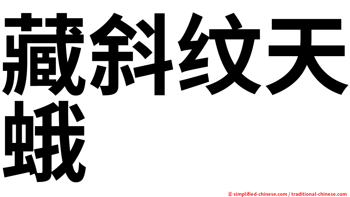 藏斜纹天蛾