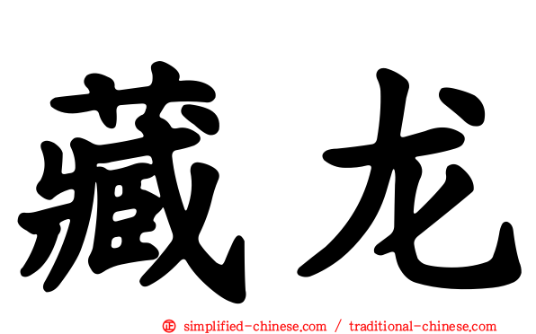 藏龙