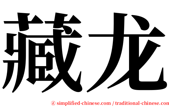 藏龙 serif font