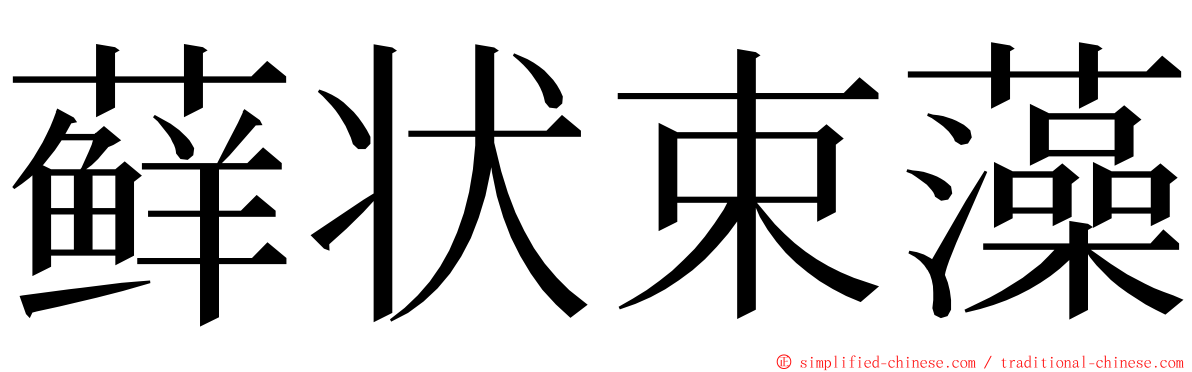 藓状束藻 ming font