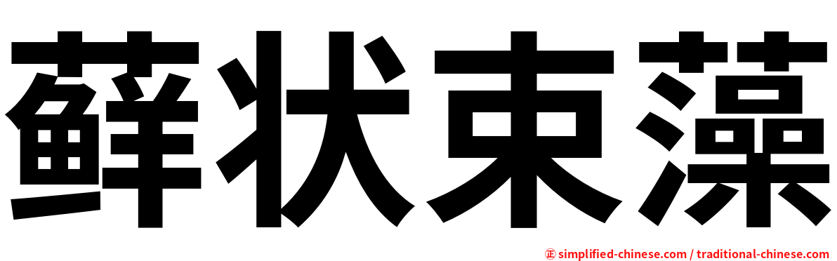 藓状束藻