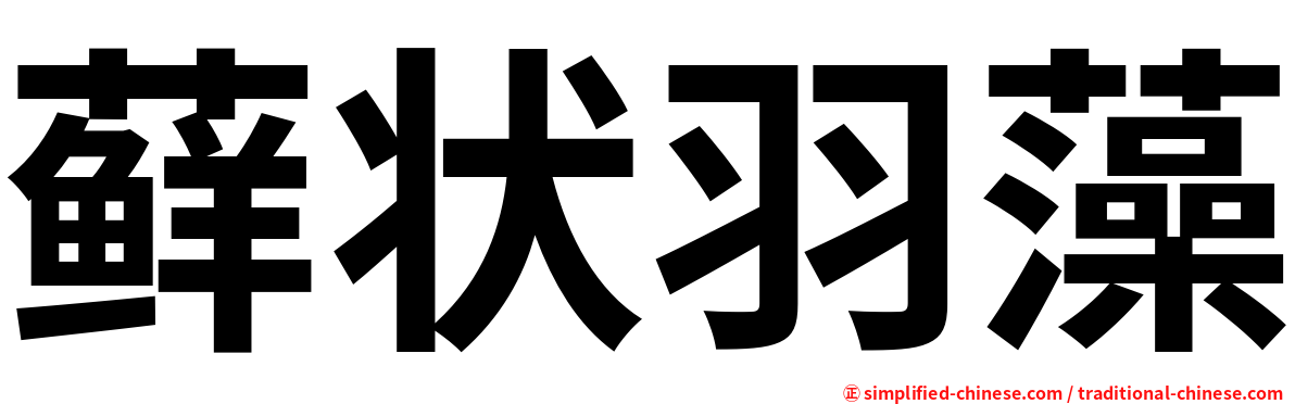 藓状羽藻