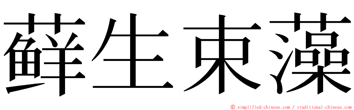 藓生束藻 ming font