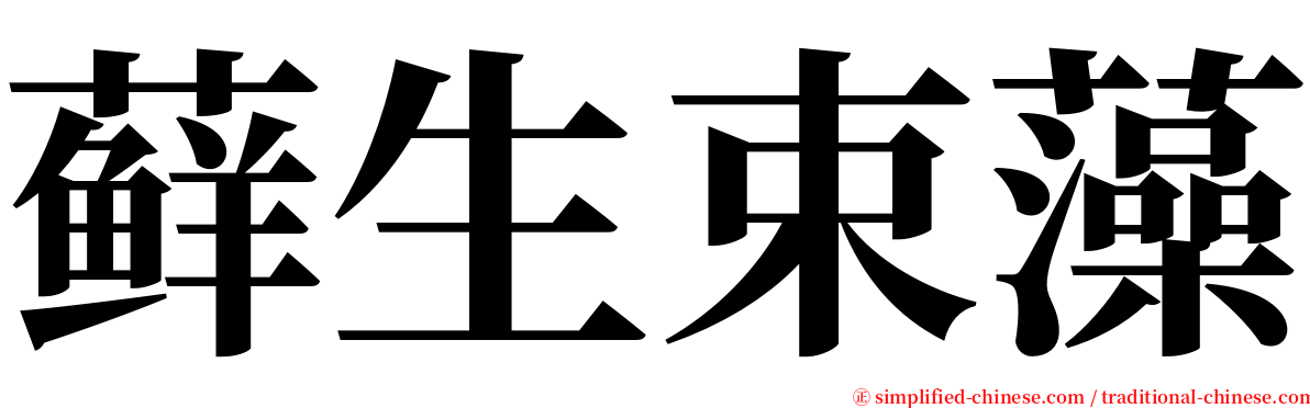 藓生束藻 serif font