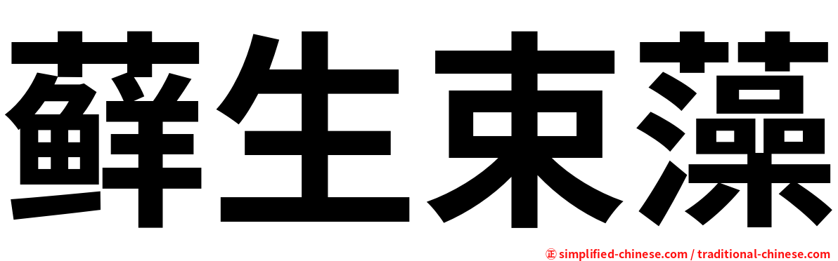 藓生束藻