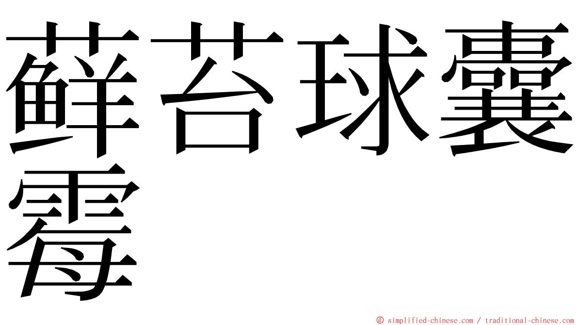 藓苔球囊霉 ming font