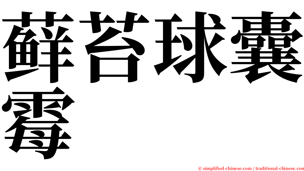 藓苔球囊霉 serif font