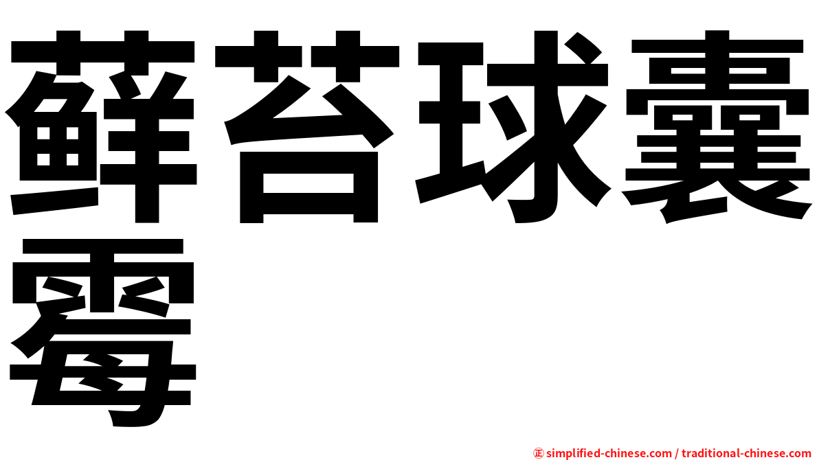 藓苔球囊霉