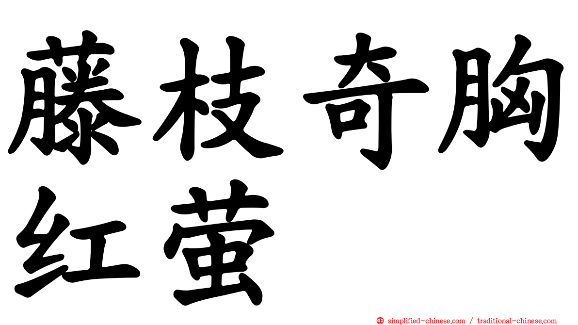 藤枝奇胸红萤