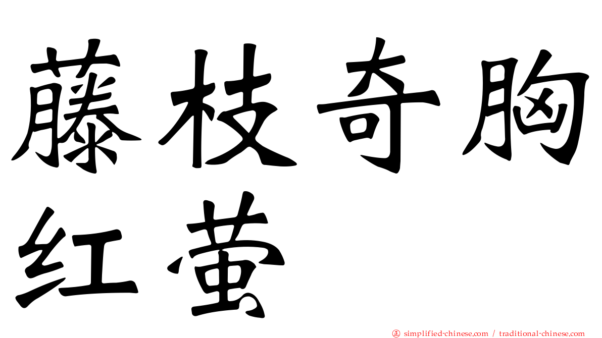 藤枝奇胸红萤
