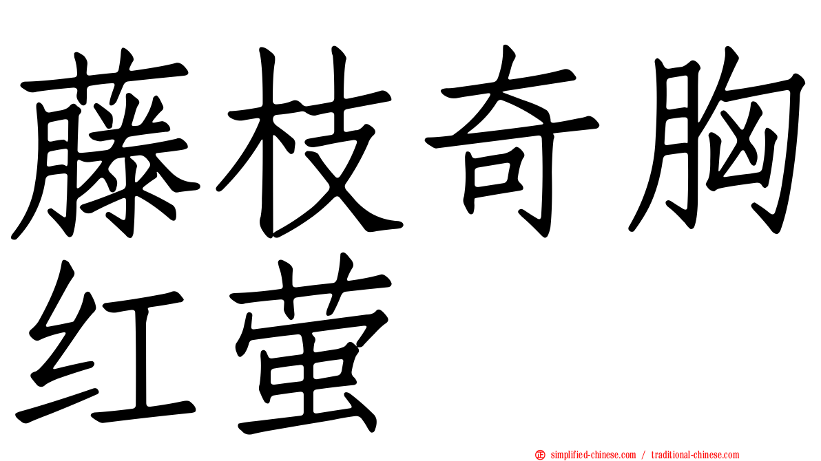 藤枝奇胸红萤