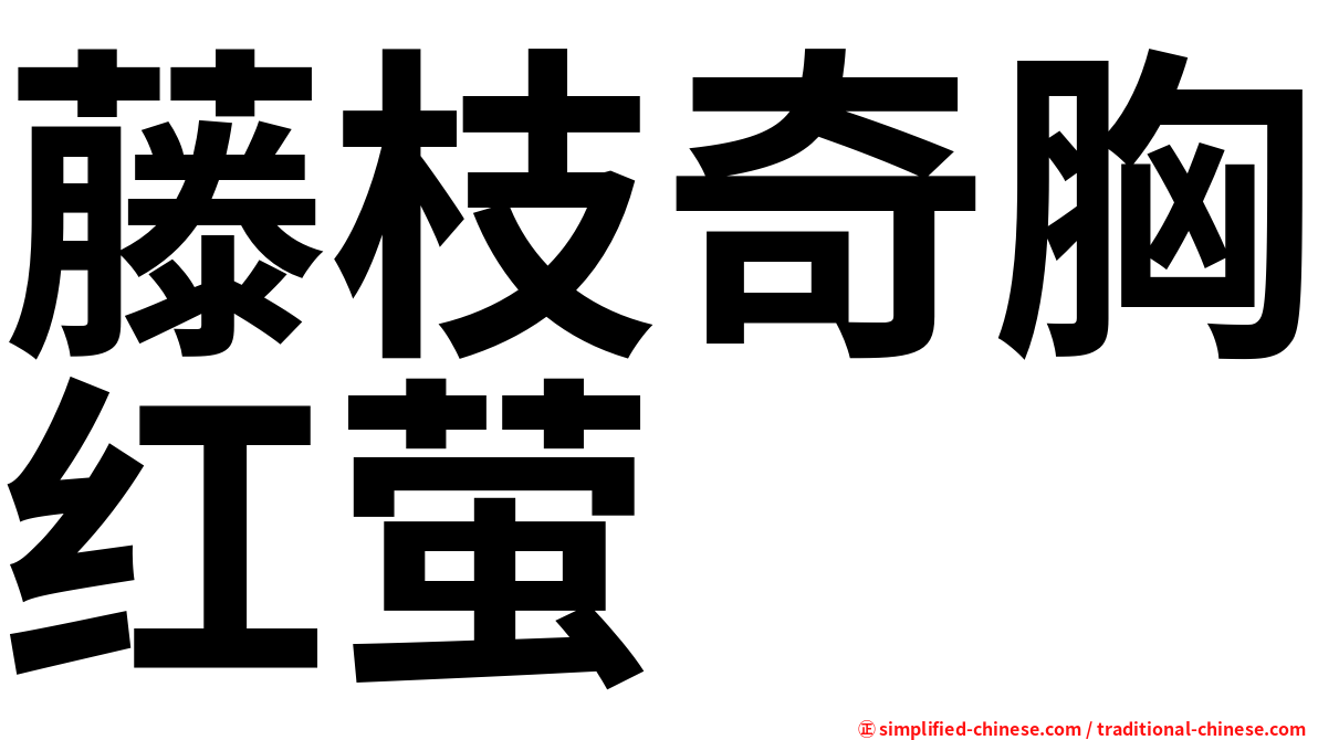藤枝奇胸红萤