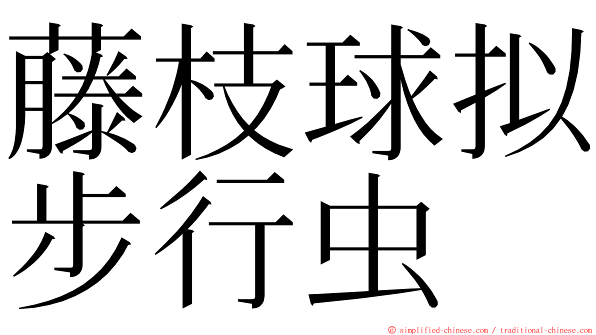 藤枝球拟步行虫 ming font