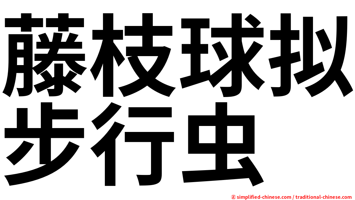 藤枝球拟步行虫