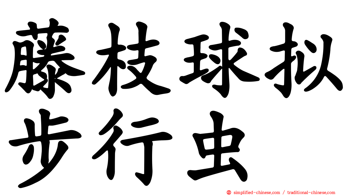 藤枝球拟步行虫
