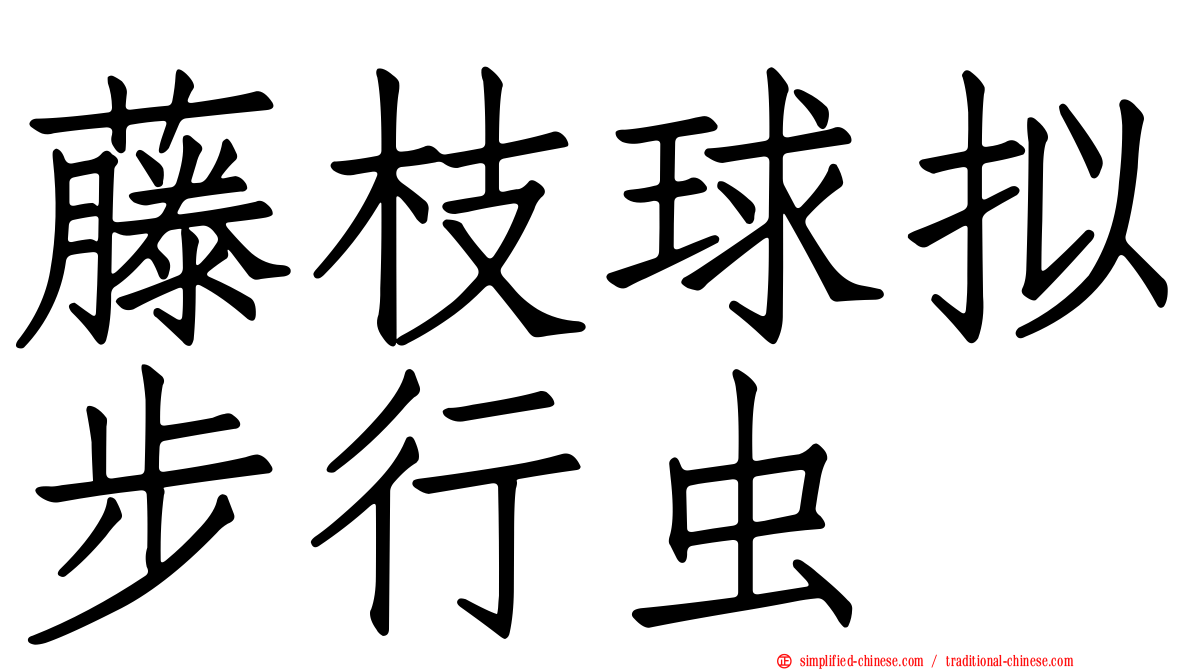 藤枝球拟步行虫