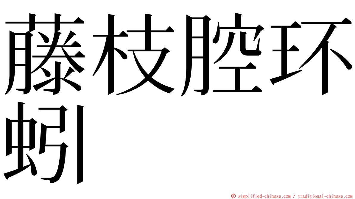 藤枝腔环蚓 ming font