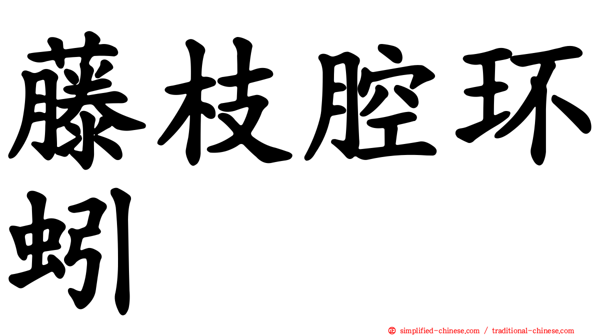 藤枝腔环蚓