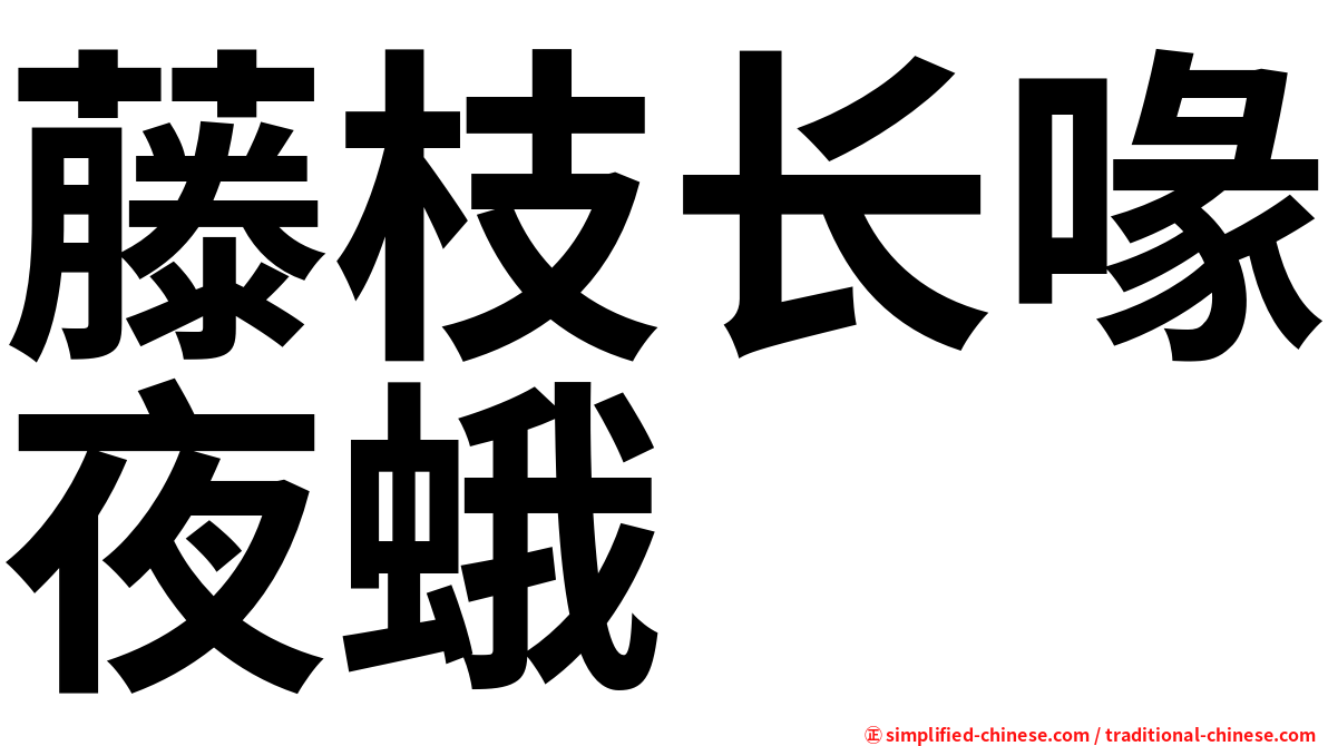 藤枝长喙夜蛾