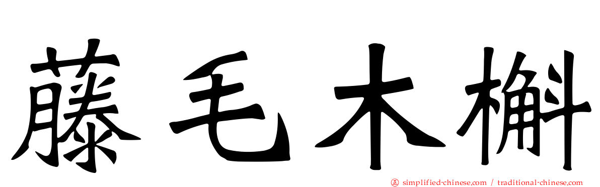 藤毛木槲