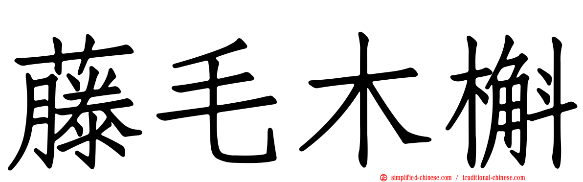 藤毛木槲