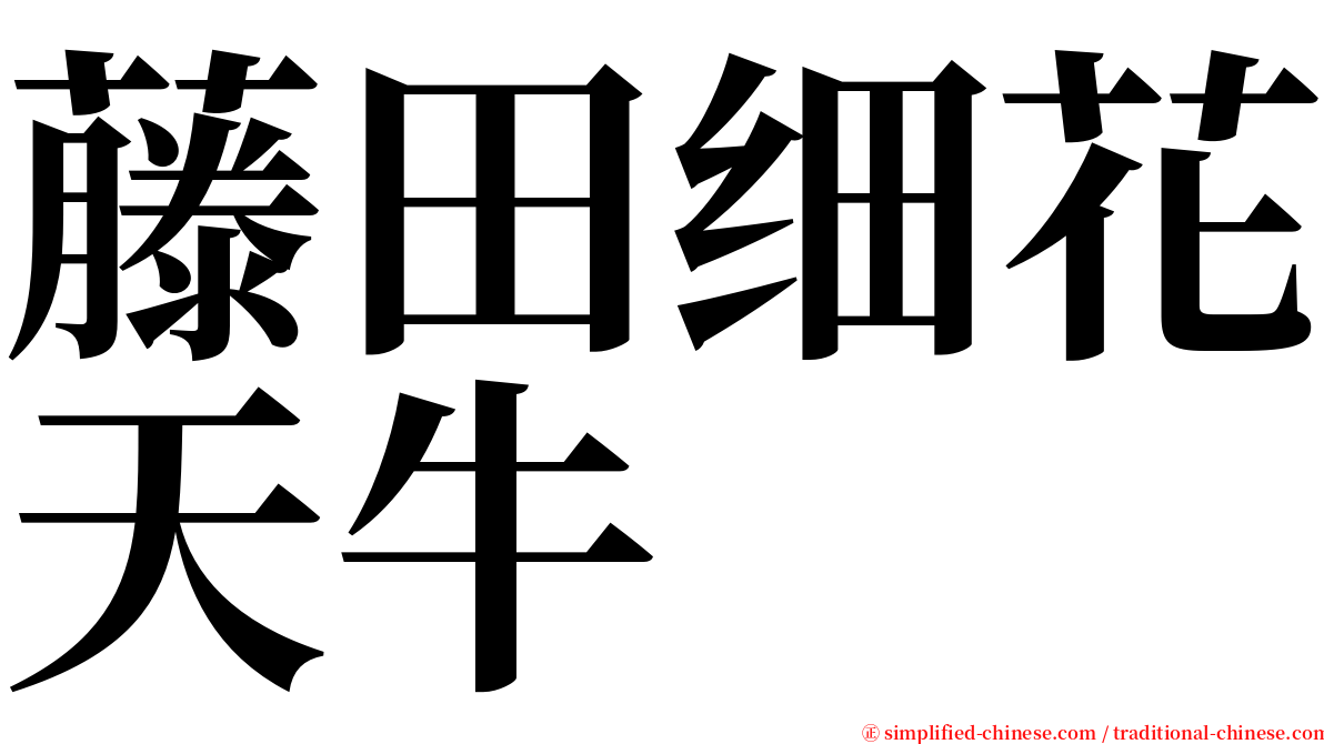 藤田细花天牛 serif font
