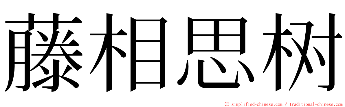 藤相思树 ming font