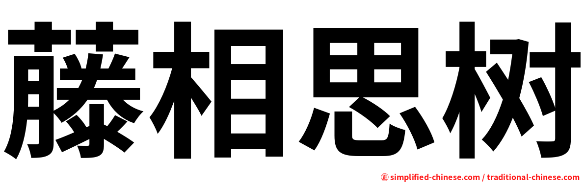 藤相思树