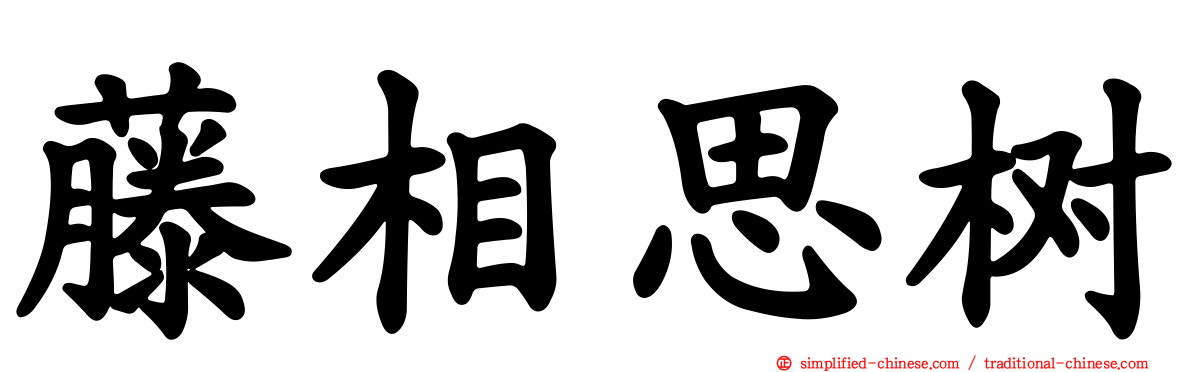 藤相思树