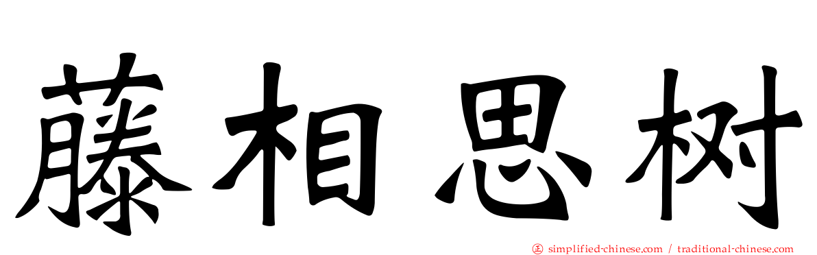 藤相思树